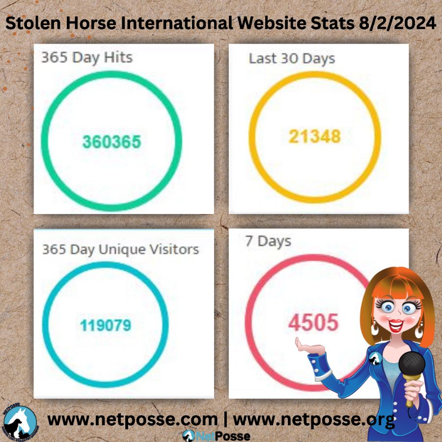 store/news/4111/stats Stolen Horse International 822024.png